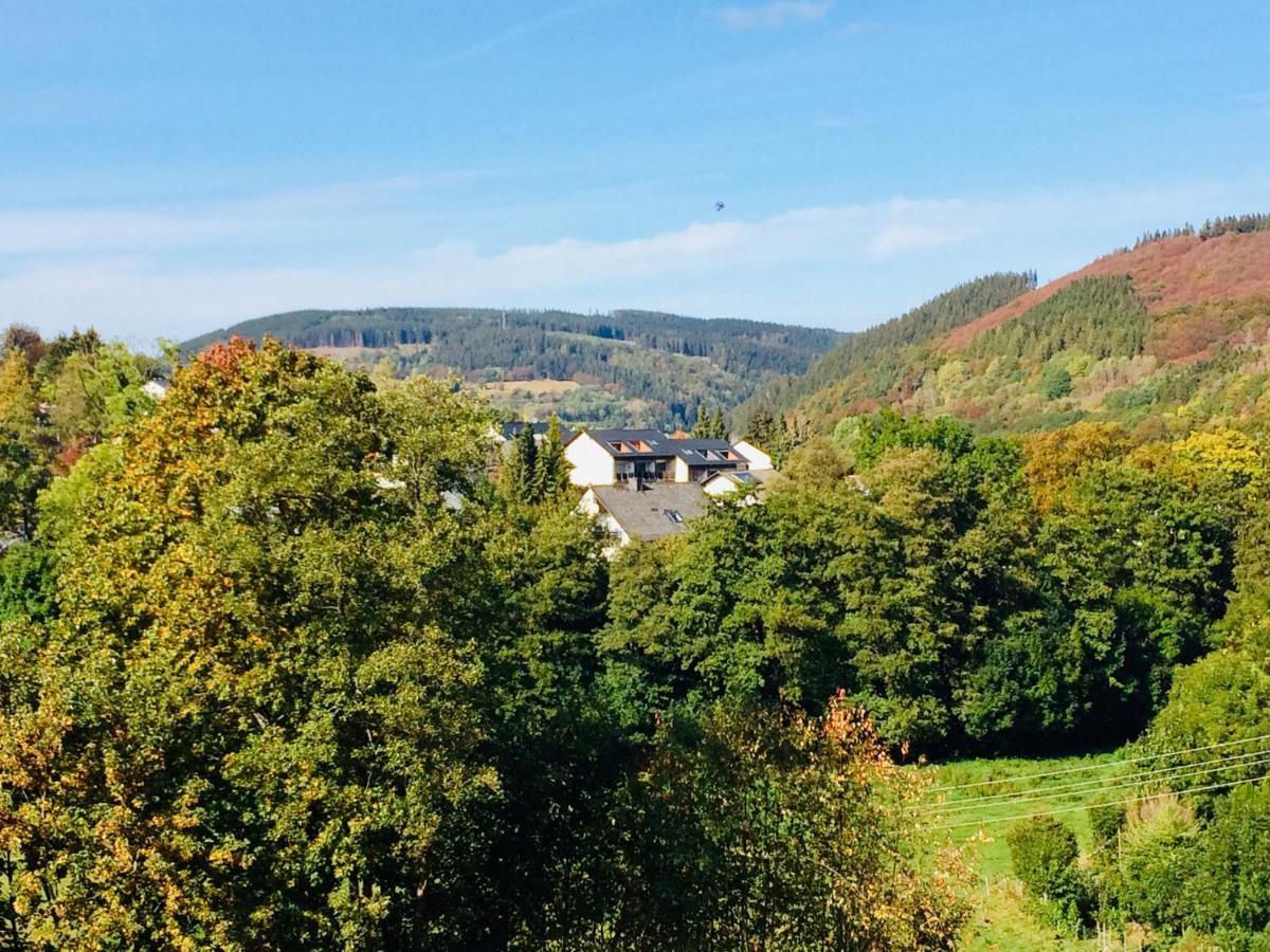 Ferienwohnung Stremme Willingen  Luaran gambar
