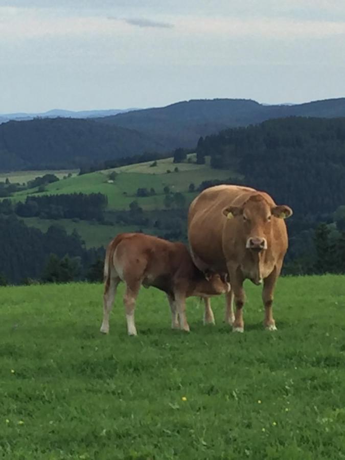 Ferienwohnung Stremme Willingen  Luaran gambar