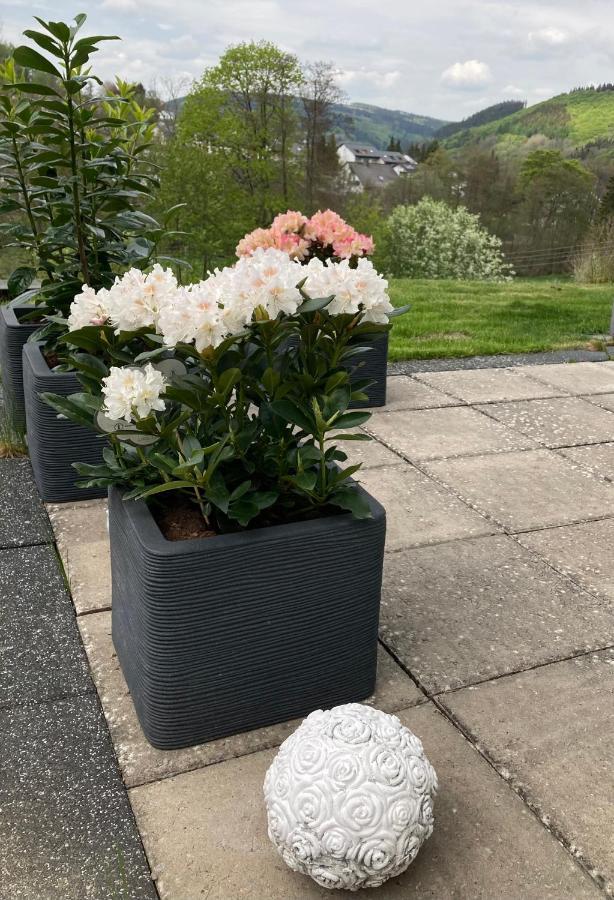 Ferienwohnung Stremme Willingen  Luaran gambar