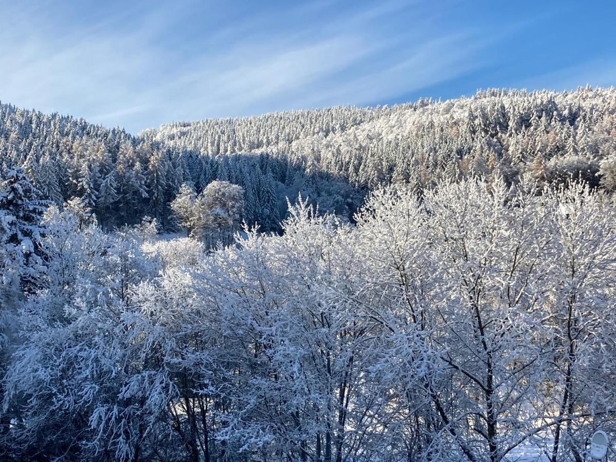 Ferienwohnung Stremme Willingen  Luaran gambar
